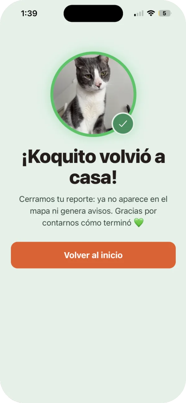 Pantalla verde: ¡Koquito volvió a casa!