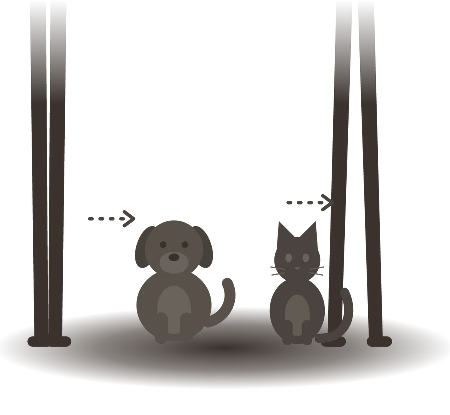 Un perro y un gato solos entre la gente que pasa caminando