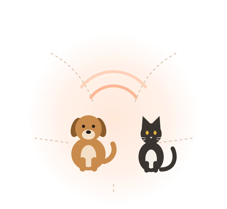 El perro y el gato, ahora a color, conectados por el silbido