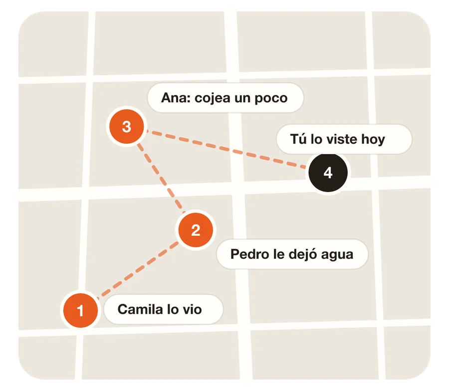 Mapa con el recorrido de un perro: Camila lo vio, Pedro le dejó agua, Ana notó que cojea, tú lo viste hoy